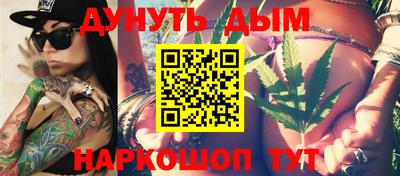 сатива Кандалакша
