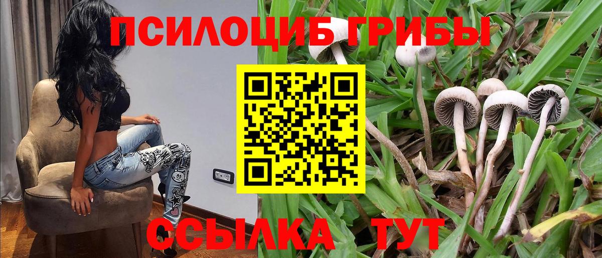 Галлюциногенные грибы Psilocybe  Галлюциногенные грибы ЛСД  цены   Луховицы  Вход с VPN 